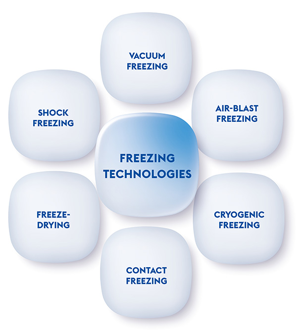 FROZEN FOOD FREEZING PROCESSES
