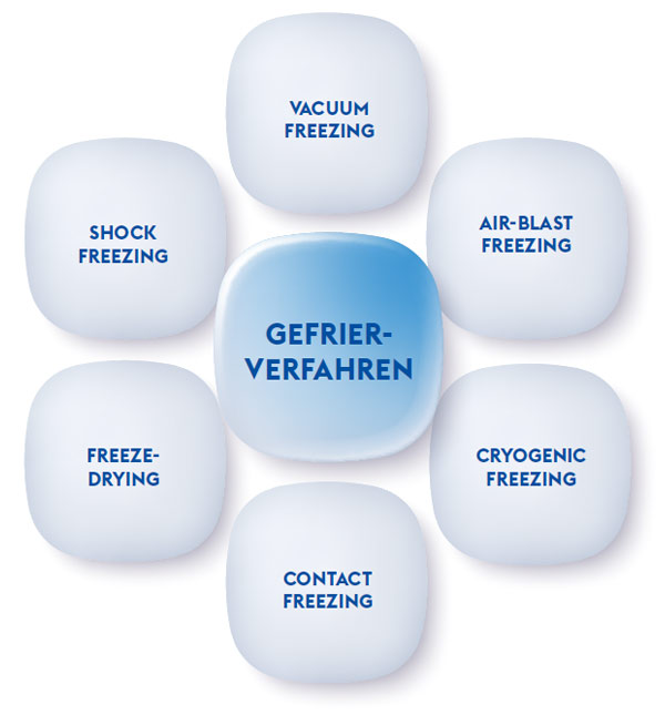 TIEFKÜHLKOST GEFRIERVERFAHREN